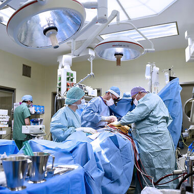 Neue Theorie zur Entstehung der Arteriosklerose