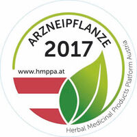 Mutterkraut zur Arzneipflanze 2017 gekürt