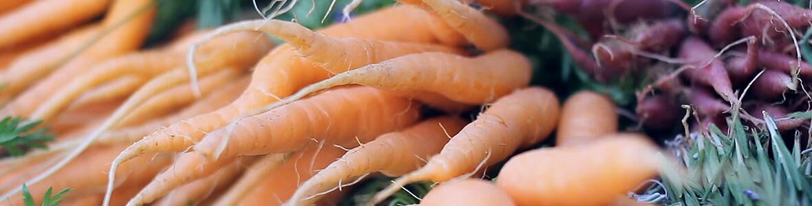 Ernährung bei Krebs - Video