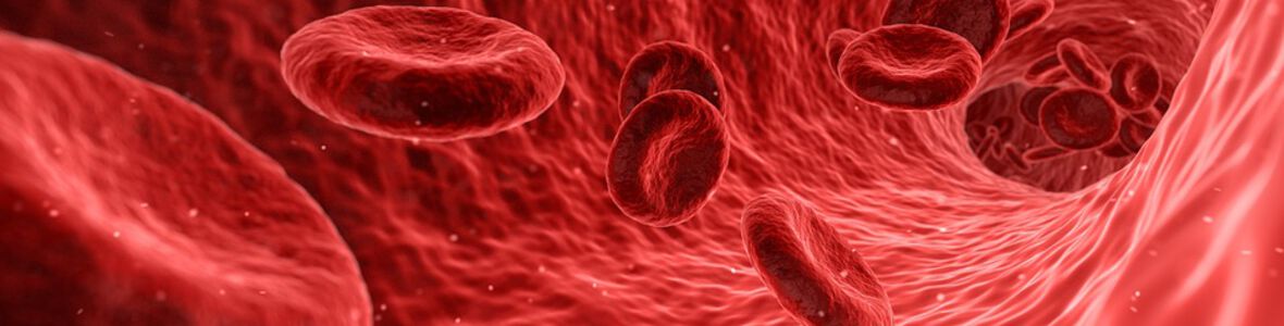 aHUS: Frühzeitig therapieren und Risiken individuell abschätzen