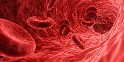 aHUS: Frühzeitig therapieren und Risiken individuell abschätzen