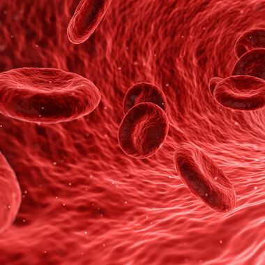 aHUS: Frühzeitig therapieren und Risiken individuell abschätzen