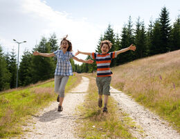 Knochenmanifestationen und Vitamin D-Therapie bei Cystinose