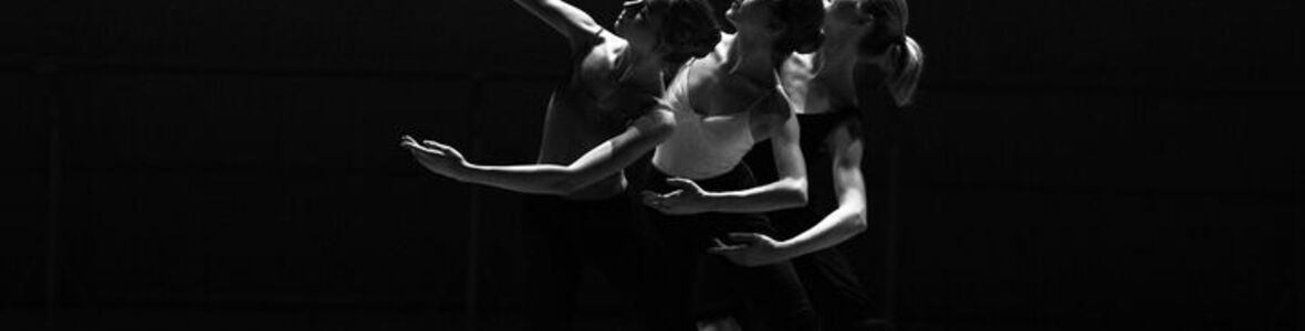 tamed spezial Symposium „Tage der Tanzmedizin“ in Wien, Februar 2017-Videoimpressionen aus der Wolke 19