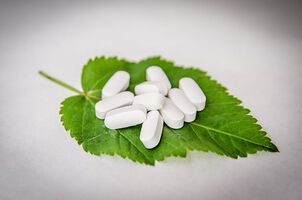 Grippaler Infekt aus der Sicht der Ganzheitsmedizin