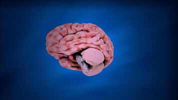 Jahrestagung der ÖGN in Villach: Leistungen und Herausforderungen der modernen Neurologie