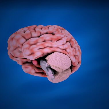 Jahrestagung der ÖGN in Villach: Leistungen und Herausforderungen der modernen Neurologie