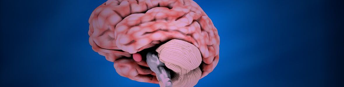 Jahrestagung der ÖGN in Villach: Leistungen und Herausforderungen der modernen Neurologie