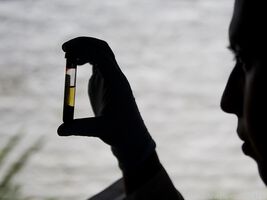 Entscheidender Schritt in der Malaria-Bekämpfung gelungen