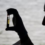 Entscheidender Schritt in der Malaria-Bekämpfung gelungen