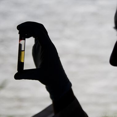 Entscheidender Schritt in der Malaria-Bekämpfung gelungen