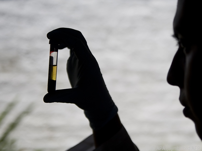 Entscheidender Schritt in der Malaria-Bekämpfung gelungen