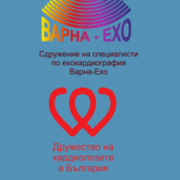 Варна - ЕХО 8