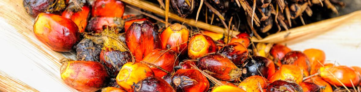 ЕС може да ограничи употребата на палмово масло
