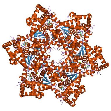 HPV и репродуктивно здраве