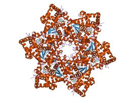 Кога HPV инфекцията може да причини рак