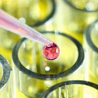 Senior Clinical Research Associate – Sofia