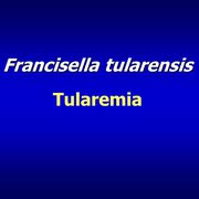 Clinical Characteristics of Ulceroglandular Tularemia in Two Bulgarian Regions, 2014-2015