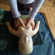 Уъркшоп при критични състояния в педиатрията