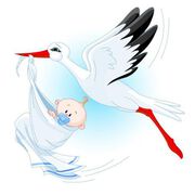 Яйчников резерв