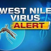 West Nile virus infection in a Bulgarian man: a case report