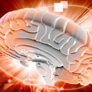 Първа национална конференция по инсулт с международно участие