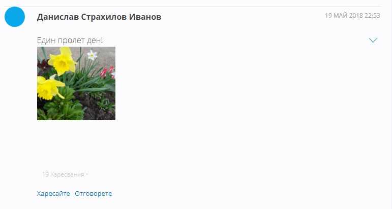 конкур на Ролетра спечелил
