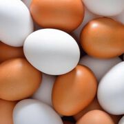 Изтеглят над 1 млн. яйца заради птичи грип