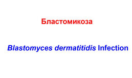 Бластомикоза / Blastomyces dermatitidis Infection