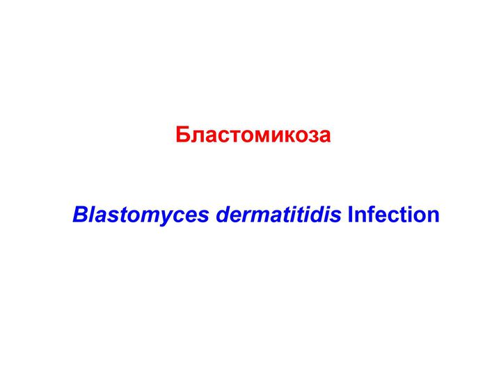 Бластомикоза / Blastomyces dermatitidis Infection