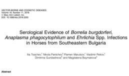 Serological Evidence of Borrelia burgdorferi, Anaplasma phagocytophilum and Ehrlichia spp. Infections in Horses from Southeastern Bulgaria