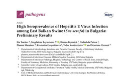 High Seroprevalence of Hepatitis E Virus Infection among East Balkan Swine (Sus scrofa) in Bulgaria: Preliminary Results
