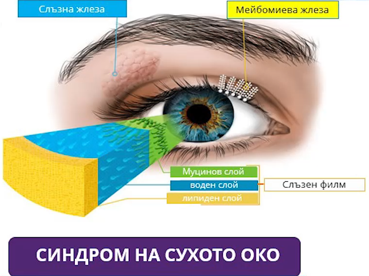 Терапевтичен подход при сухота в окото - как да се справим в аптеката? - Част I