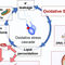 Glutathione content and glutathione peroxidase activity of sperm in males with unexplained infertility