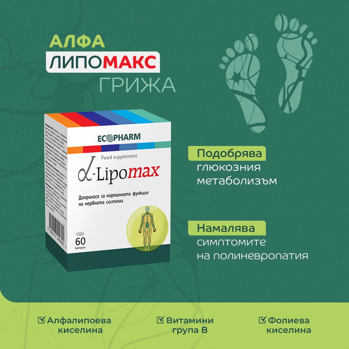Алфалипомакс при диабетна полиневропатия