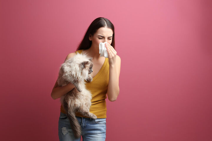 Алергия към домашни любимци – какво трябва да знаем