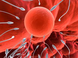 Възрастта и IVF