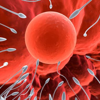 Възрастта и IVF