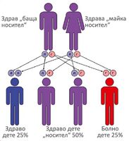 Безплатни изследвания по повод Международния ден на болнитe от Муковисцидоза
