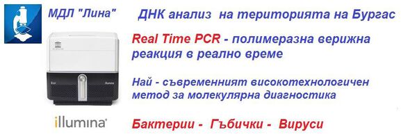 PCR- полимеразна верижна реакция