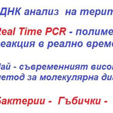 PCR- полимеразна верижна реакция
