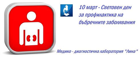 12 март - Световен бъбречен ден! МДЛ "Лина" подкрепя инициативата с "Пакет бъбречна функция"