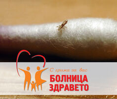 Как да се справим с въшките с естествени средства ?