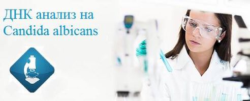 ДНК тест за Candida albicans