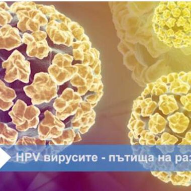 Нови данни за разпространението на HPV (ВИДЕО)