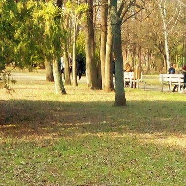 Здравословното хранене и движението - първите стъпки да намалите риска от сърдечно заболяване