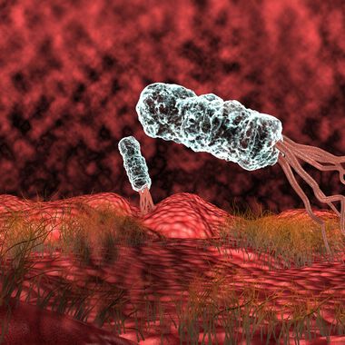 Откриване на инфекция с Helicobacter pylori и ролята на лабораторията за откриването й