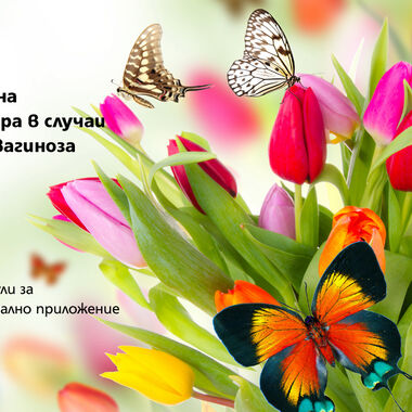 Причини за бактериалната вагиноза