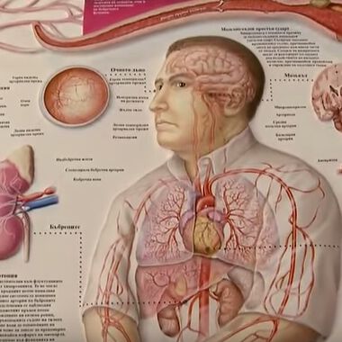 Исхемичната болест на сърцето засяга все повече млади хора (ВИДЕО)