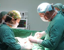 28годишна жена с отстранена шийка на матката заради рак роди момиченце